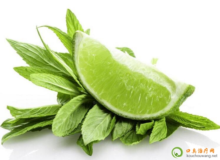 �ڳ���ԭ��ͽ�Q����