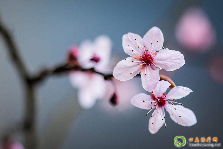 �ڳ������N���l�Y