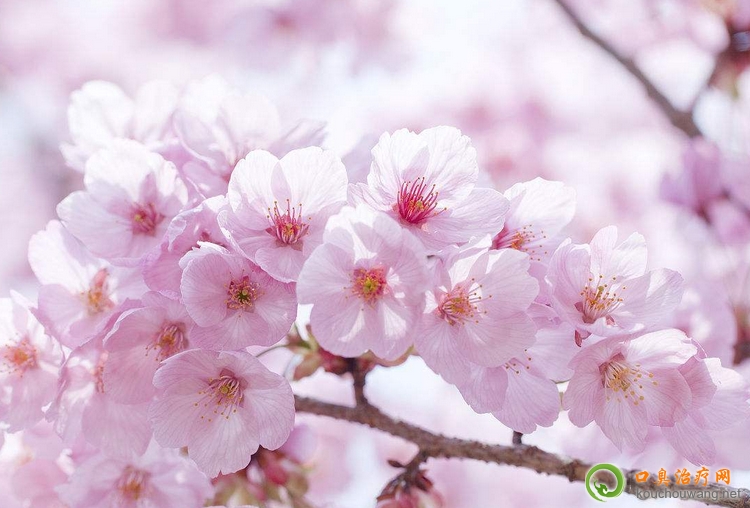 �坍��ǻ߀���пڳ�֔�����N����