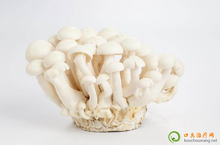 �ڳ����ԳԼ���