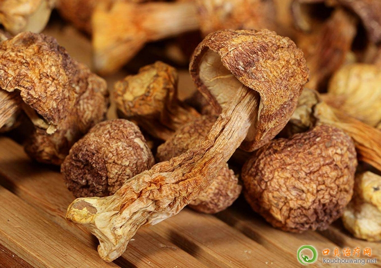 �ڳ����ԳԼ�����