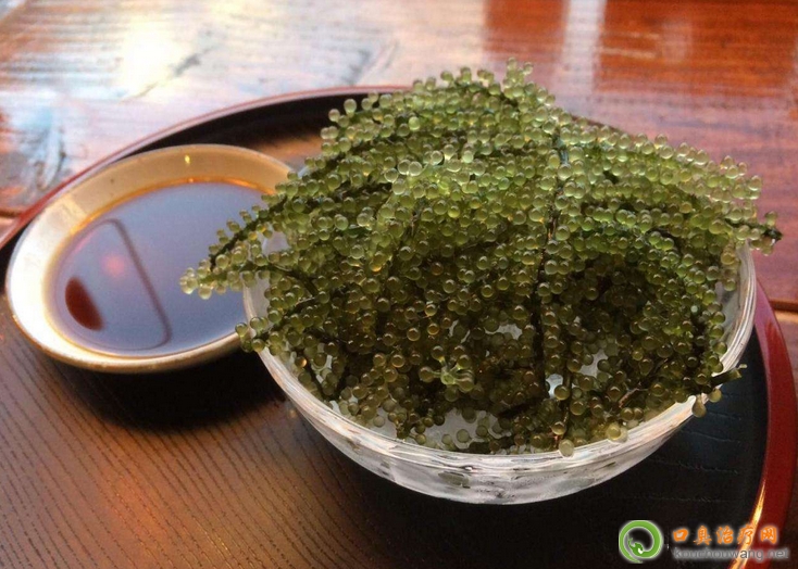 �ڳ����ԳԺ�����