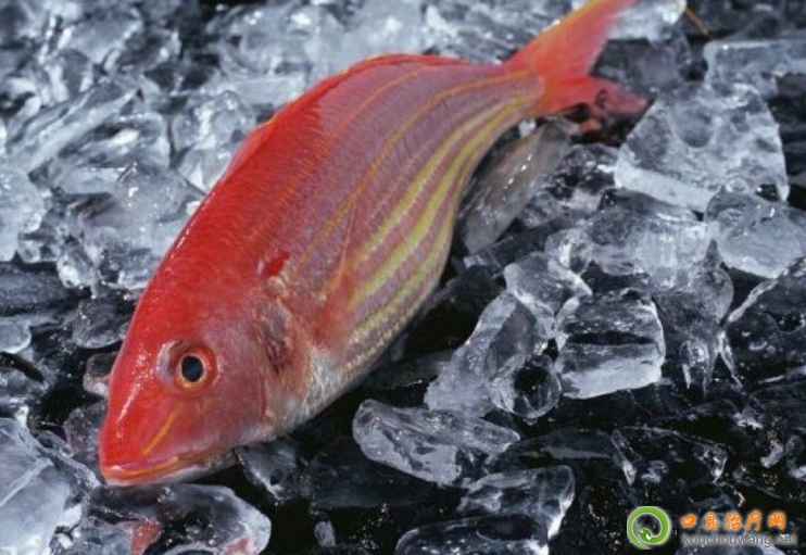 �ڳ����ԳԼt���~(y��)