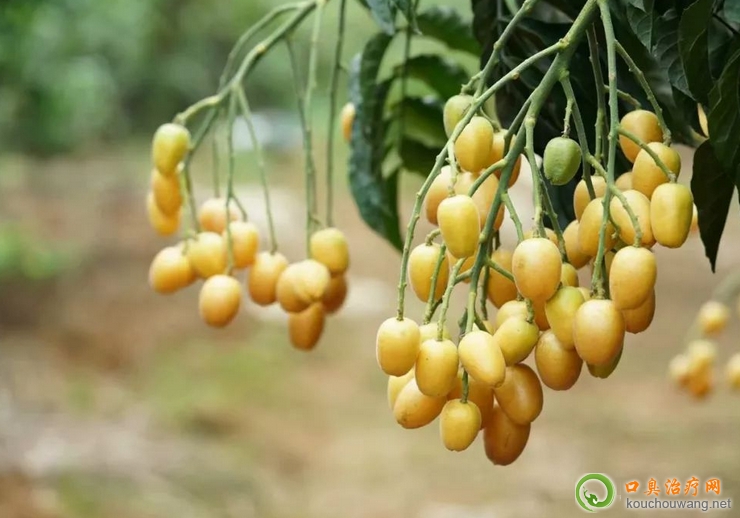 �ڳ����Գ��SƤ��