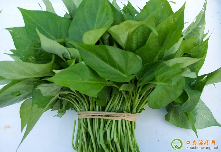 �ڳ����ԳԼt���~